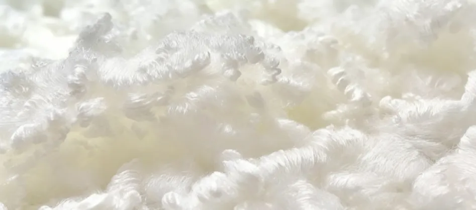 Il poliestere è una fibra sintetica? (2)