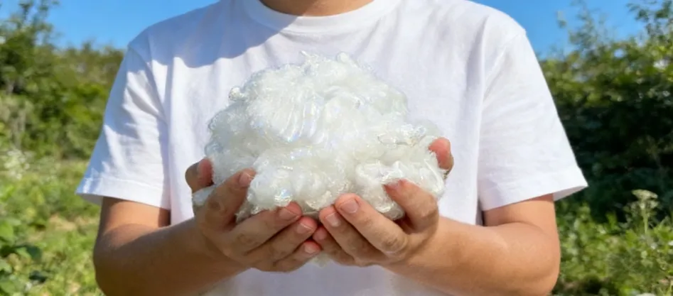 Perché la fibra vergine è migliore della riciclata?