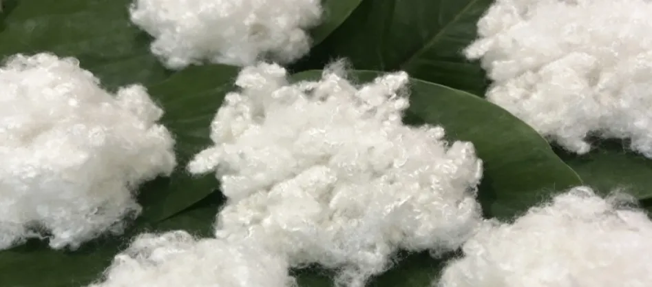 Il poliestere è una fibra sintetica? Qualcosa che devi sapere