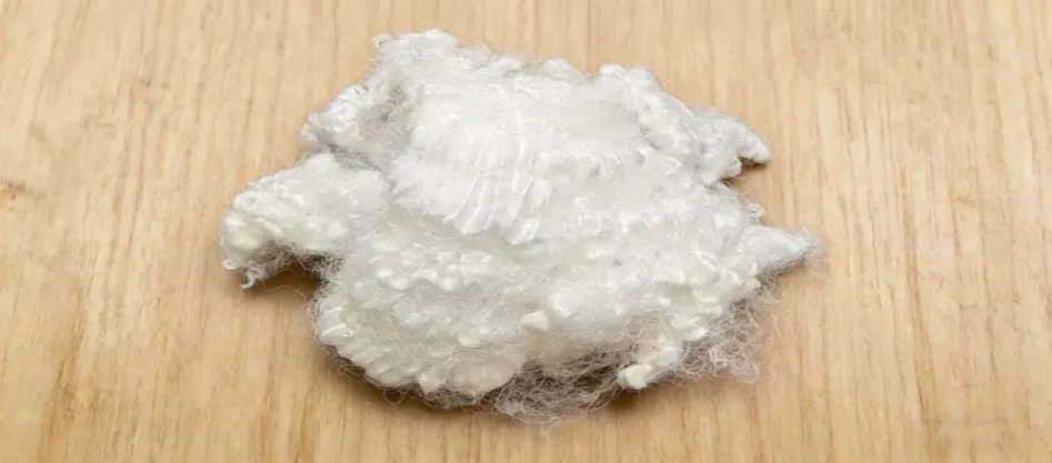 Cos'è la fibra coniugata vergine?